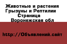 Животные и растения Грызуны и Рептилии - Страница 2 . Воронежская обл.